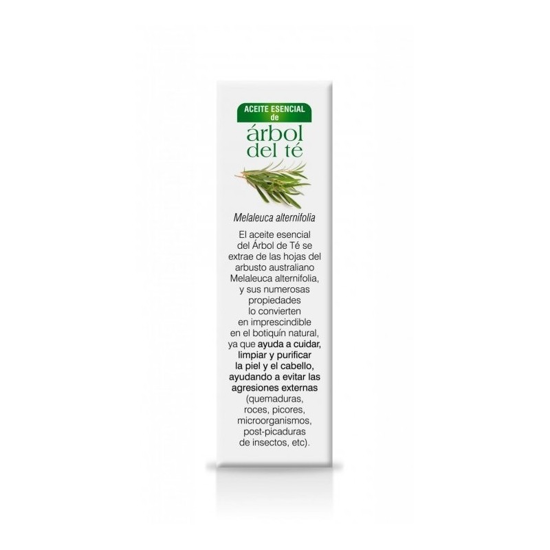 Árbol Del Té Soria Natural