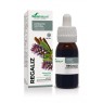 Regaliz Extracto Soria Natural