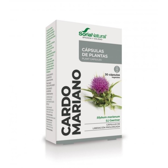 Cardo Mariano Cápsulas Soria natural