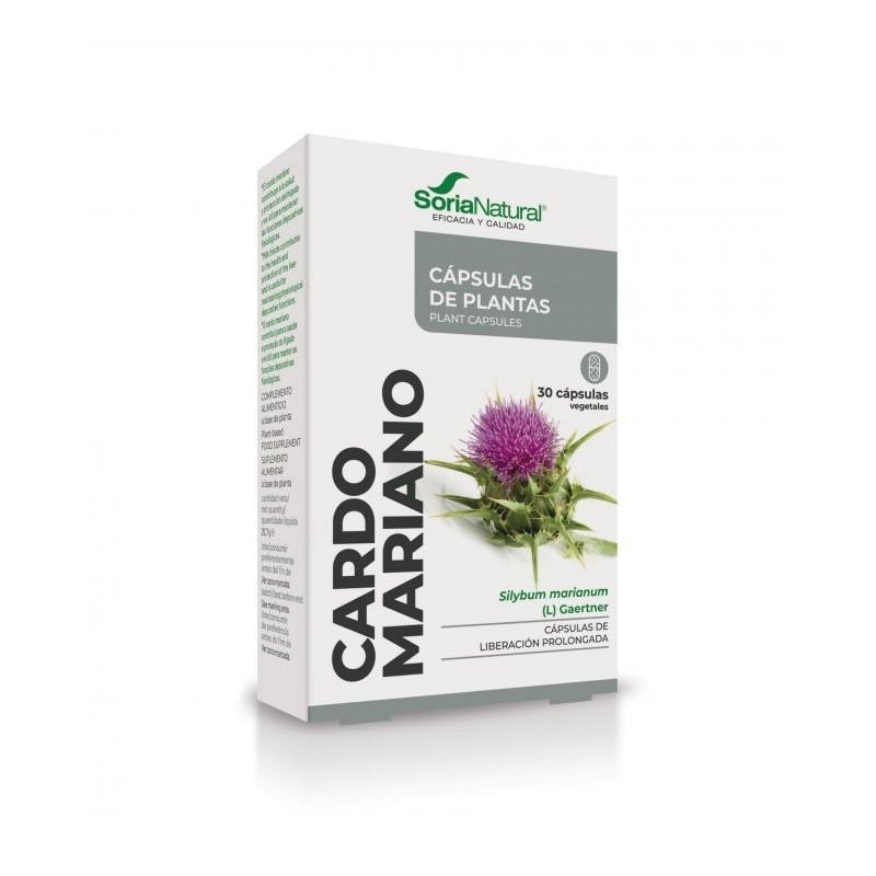 Cardo Mariano Cápsulas Soria natural