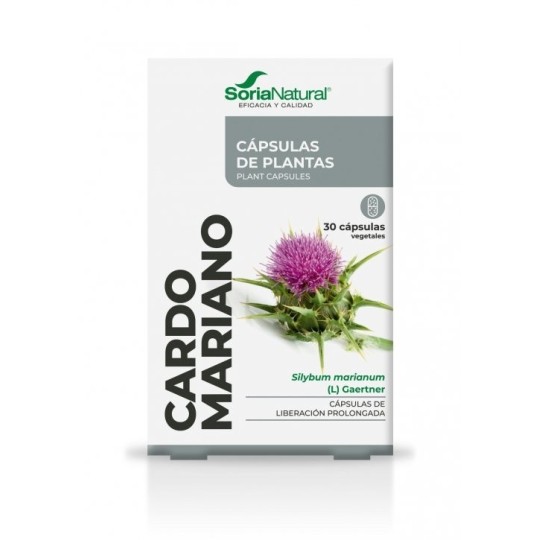 Cardo Mariano Cápsulas Soria natural