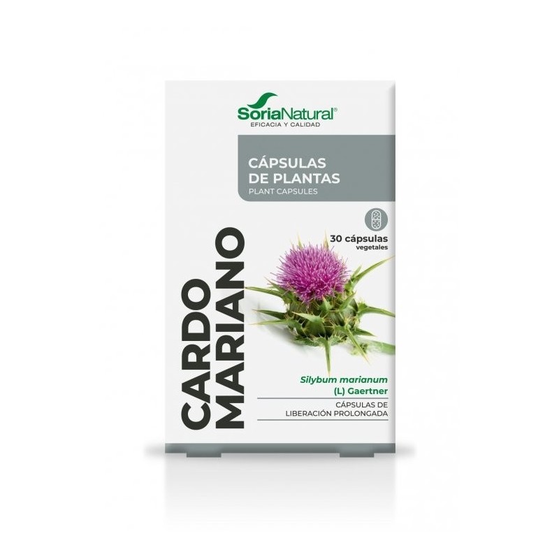 Cardo Mariano Cápsulas Soria natural