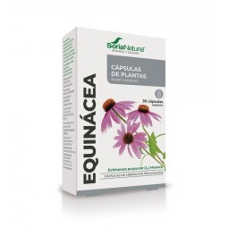 Equinácea Cápsulas Soria Natural