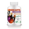 Mincartil Classic Tablets Soria Natural