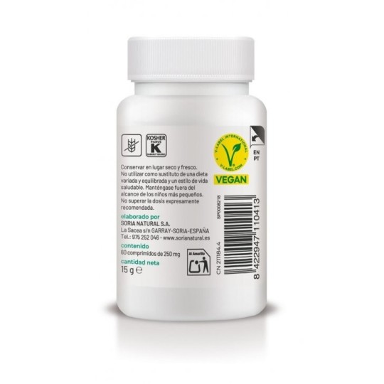 Vitamina B12 60 Comprimidos Liberación Sostenida