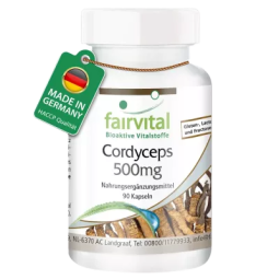 Cordyceps Fairvital