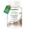 Cordyceps Fairvital