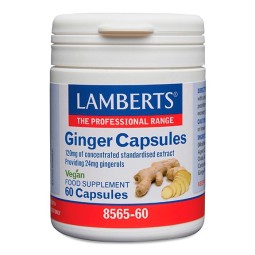 GINGER ( JENGIBRE ) LAMBERTS 60 CAPSULES