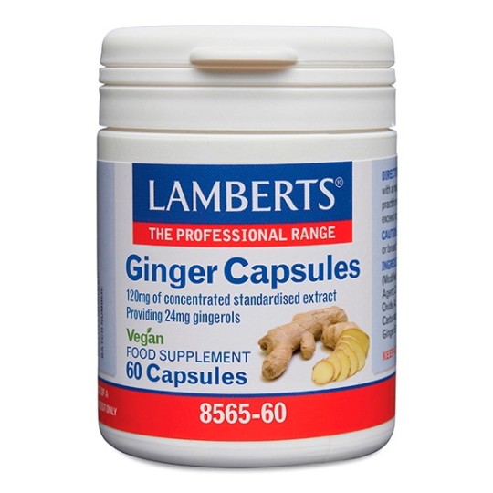 GINGER ( JENGIBRE ) LAMBERTS 60 CAPSULES