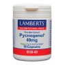 PYCNOGENOL 40 MG LAMBERTS 60 CAPSULES VEGAN