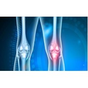 Colageno y Cartilago | Articulaciones | Nature95