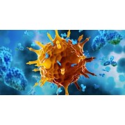 Sistema Inmunitario | Defensas Naturales | Nature95