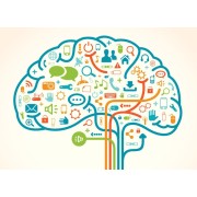 Memoria y Concentracion | Funciones Cognitivas | Nature95