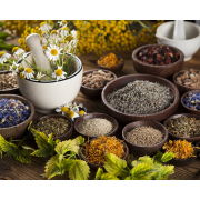 Fitoterapia y Plantas Medicinales | Nature95